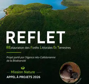 <p>Élaboration d'une candidature pour l'appel à projets Mission Nature 2026 - <em>Projet lauréat</em></p>